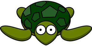 turtle